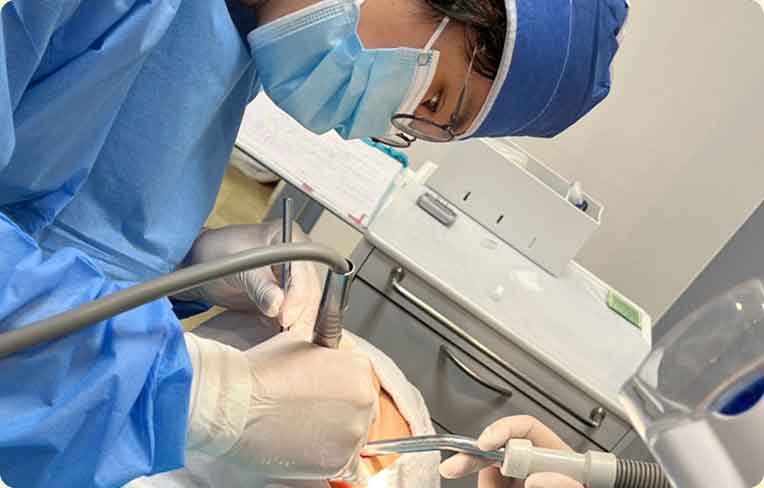 一年間の研修で学んだこと